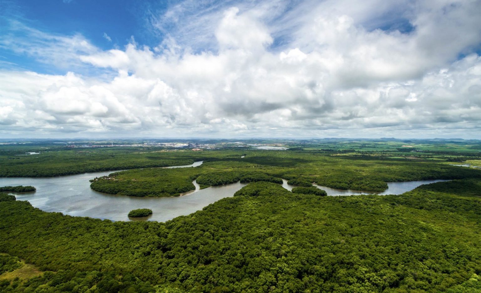 CNC defende ajustes em projeto aprovado pela CMADS sobre repasses do Fundo Clima à Amazônia Legal