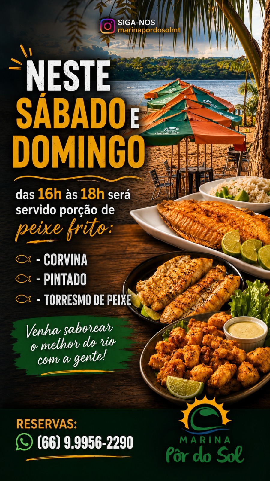 Musica ao vivo  Na  Marina 